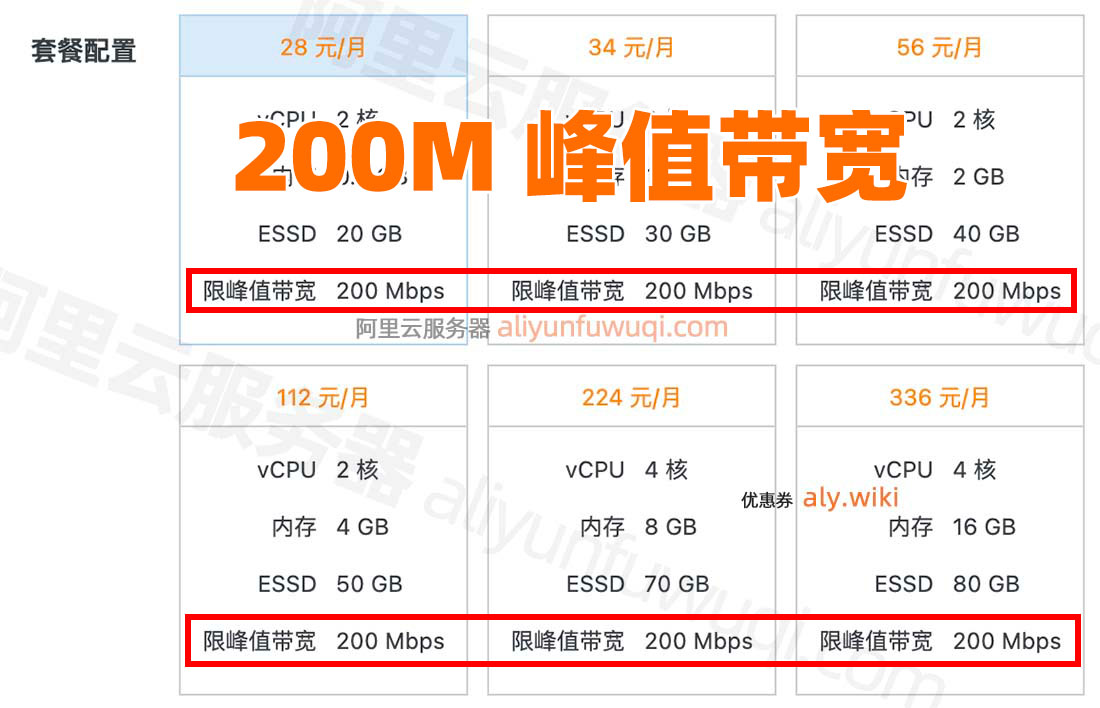 阿里云200M峰值带宽轻量服务器