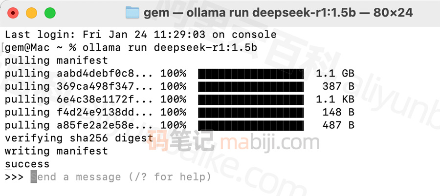 DeepSeek pulling manifest