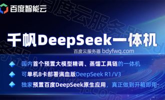 千帆DeepSeek一体机：P800昆仑芯OAM版、PCIe版以及昇腾Atlas 800机型