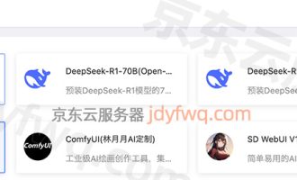 京东云智算DeepSeek应用：不同模型参数介绍全解析